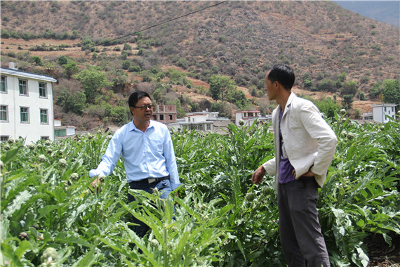 周永华在田间地头给村民讲授种植朝鲜蓟技术.JPG